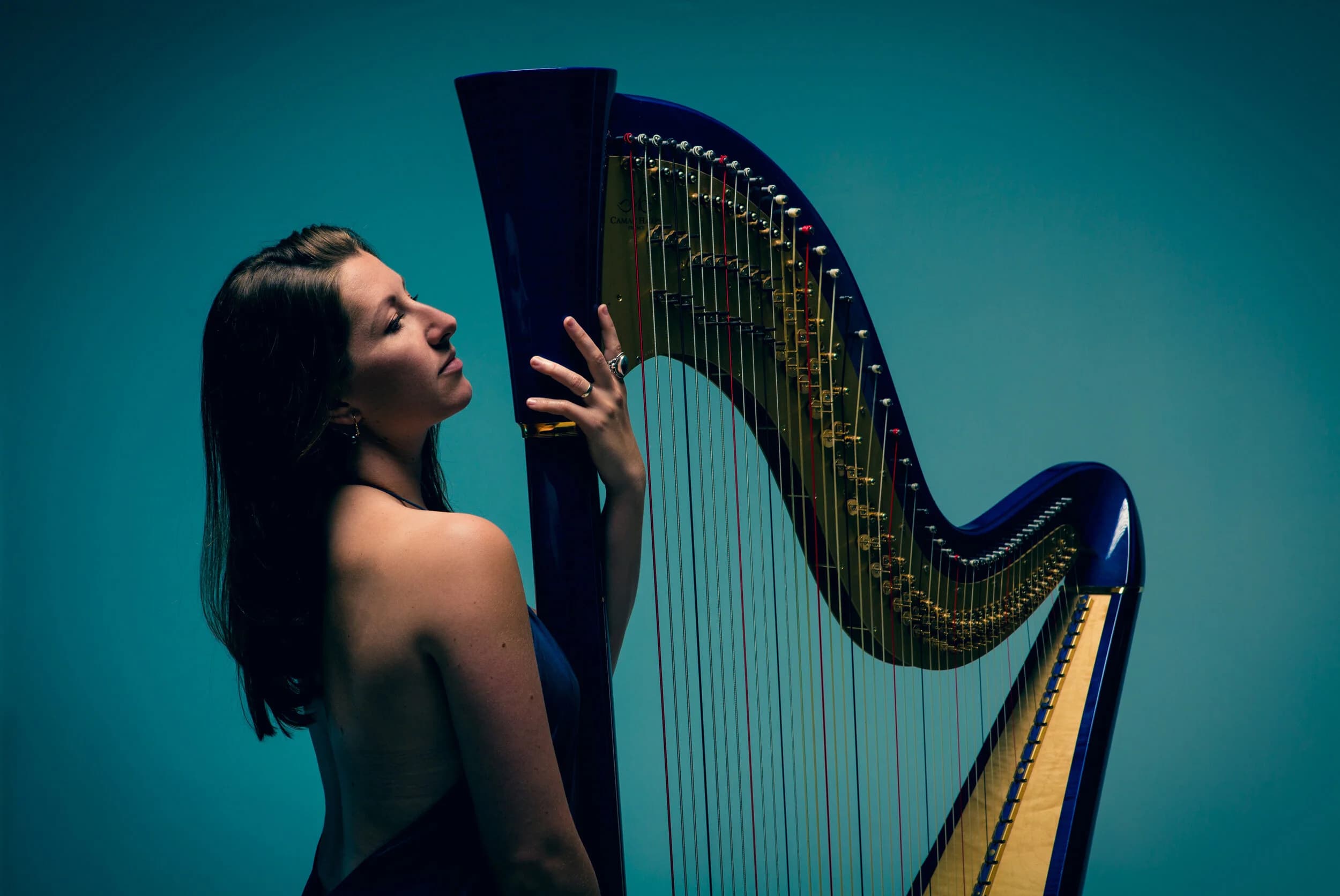 HARPISTS